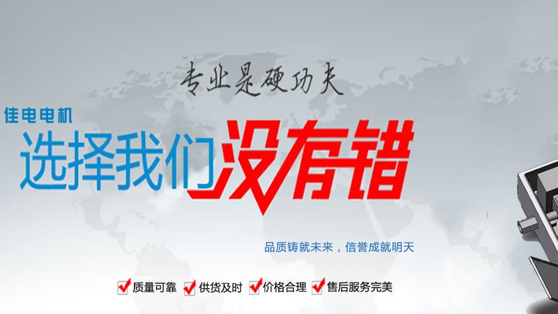 上海三相异步电机代理加盟，揭秘行业选型要点